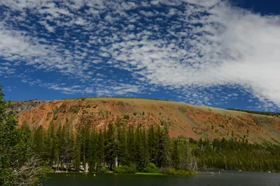 DSC_0025 (Large).JPG